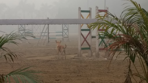 Excellentia Equitation Centre, Farm No 5A Osho Drive, Mandi Road, Gadaipur, Sultanpur, New Delhi, India, Equestrian_Centre, state UP