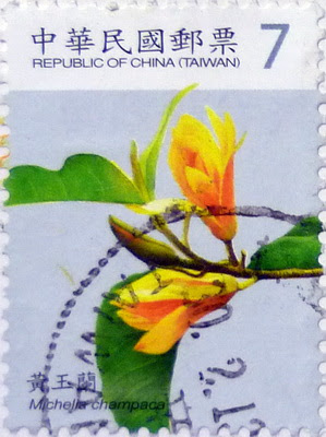 Taiwan. Rhodomyrtus tomentosa