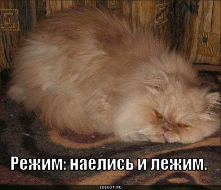 Ни дня без улыбки. У меня такое неприятное чувство, что вы правы Ни дня без улыбки. У меня такое неприятное чувство, что вы правы