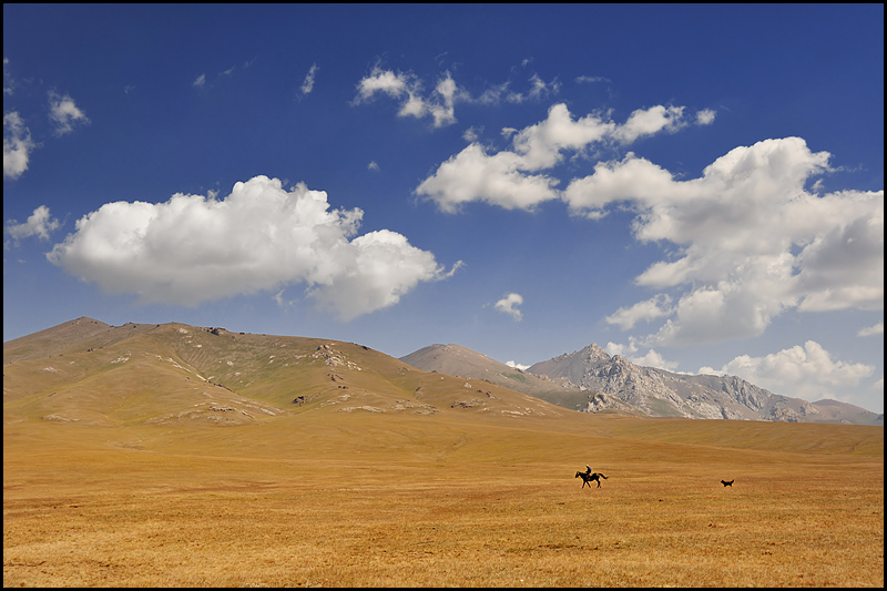 Kirghizstan : des steppes aux Monts Célestes [MAJ 16/09] - Page 3 DSC_9868%2520raw-794%252Bcadre