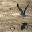 kEnNeTh WoNg avatar image