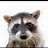 WildCareBayArea