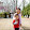 Tuan Phan Tuan Phan's profile photo
