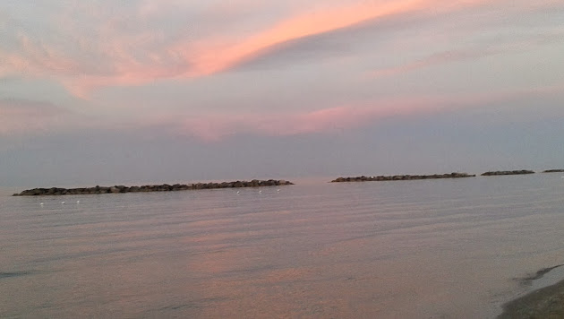 Cover photo
