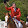 Antoine Maillard Antoine Maillard's profile photo