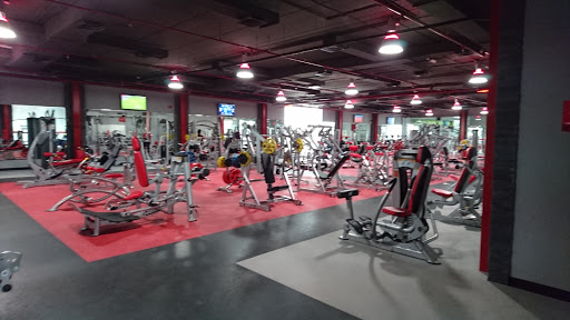 Fitness Time, Mamzar - Dubai - United Arab Emirates, Gym, state Dubai