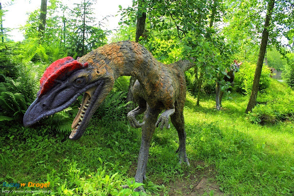 bałtów jura park  - dilophosaurus