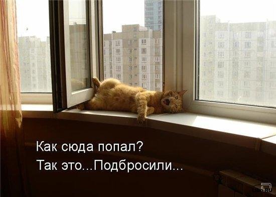 Ни дня без улыбки. Подари мне солнце… Ни дня без улыбки. Подари мне солнце…