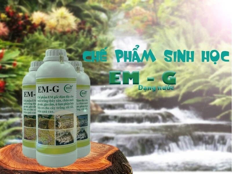 Chế phẩm sinh học EM giúp kích thích sự phát triển thuỷ sản