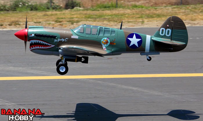 P-40+Warhawk+3.jpg