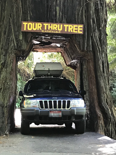 Tourist Attraction «Klamath Tour Thru Tree», reviews and photos, 430 California 169, Klamath, CA 95548, USA