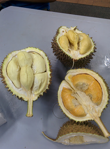 The Durian Tree