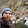 bryan kiechle bryan kiechle's profile photo