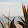 Polly Vaeth Polly Vaeth's profile photo