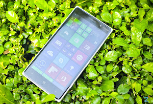 Hình ảnh về Lumia 830 vừa lên kệ tại Việt Nam