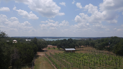 Winery «Fawncrest Vineyard», reviews and photos, 1370 West Side Cir, Canyon Lake, TX 78133, USA