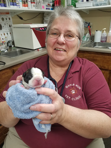 Veterinarian «Maple Run Veterinary Clinic LLC», reviews and photos