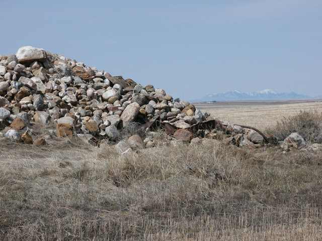 Northern Montana rock pile with the Sweet Grass Hills in the distance