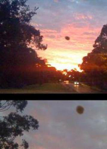 Breaking Ufo News Local Woman Takes Pictures Of Ufo Over Sydney Australia