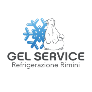 Gel Service Srl logo
