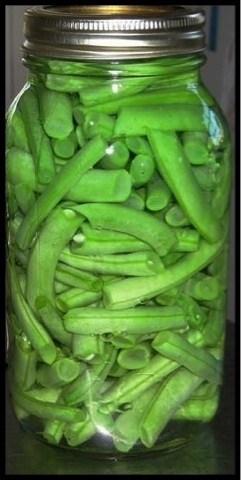 Canning Beans Water Bath 11
