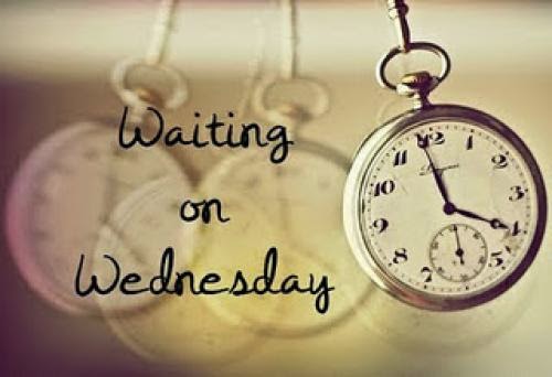 Waiting On Wednesday Illusions Of Fate By Kiersten White