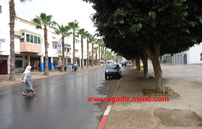 شارع الحاج الحبيب بمدينة اكادير DSC02136