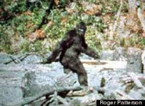 Bigfoot Conference Cites No Hard Evidence Again