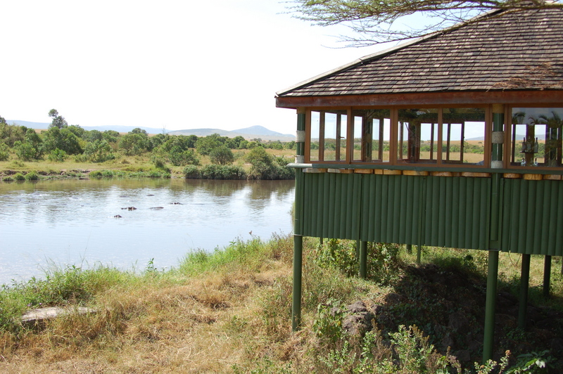 El zoo más grande del mundo - Kenya (2009) - Blogs de Kenia - Maasai Mara (27-29 de junio de 2009) (56)