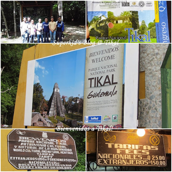 Tikal大門 Tikal大門