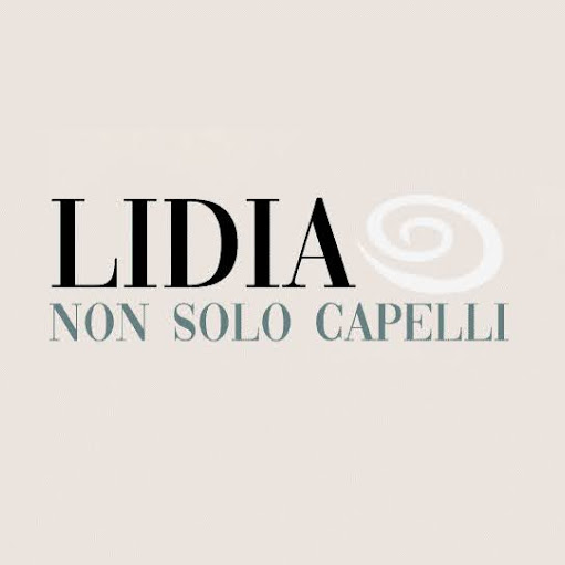 Lidia Non Solo Capelli logo