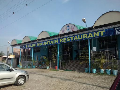 B Blue Mountain Restaurant, Haridwar-Dehradun Road, Chidderwala Teen Pani, Sahab Nagar, Rishikesh, Uttarakhand 249204, India, Vegetarian_Restaurant, state UK