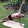 arturo orenday arturo orenday's profile photo