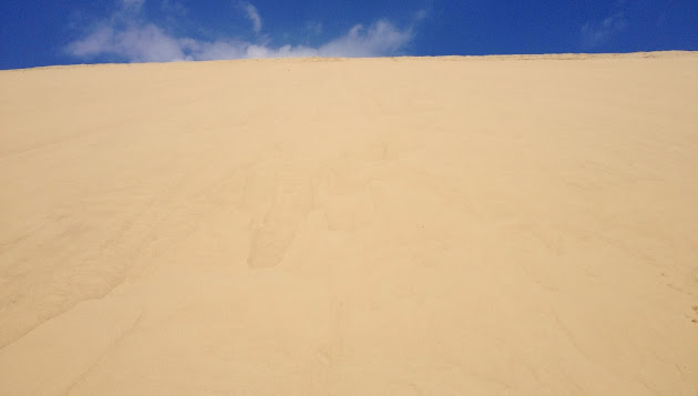 Cover photo