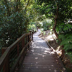 Track between Little Sirius Cove and Taronga Zoo (69895)