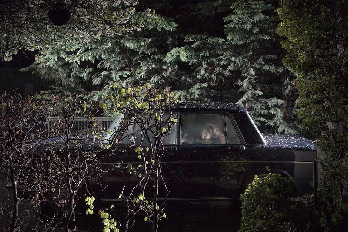 ＊被鎖在車內沉默的狗：攝影師Martin Usborne 黑暗呈現！ 3