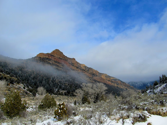 Bear Canyon