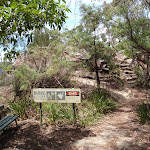 The track to Burrabarroo Lookout (92860)