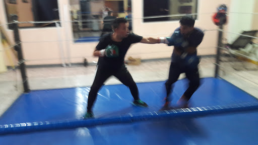 Balderas Boxing GYM, Calle Juárez 31, Centro, 68300 San Juan Bautista Tuxtepec, Oax., México, Programa de acondicionamiento físico | OAX