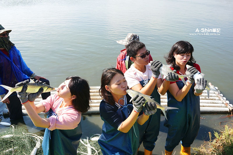 台南漁塭體驗4