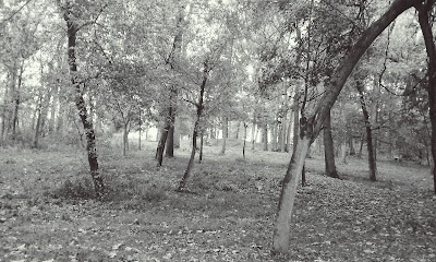 Photos of K.C. Geiger Park