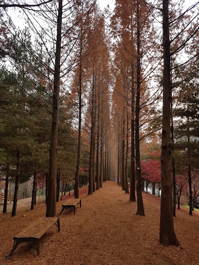 Photos of 도덕산공원