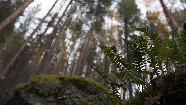 Cover photo