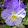 Kristie Gibson Kristie Gibson's profile photo