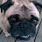 Max Cosentino avatar image