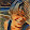 Luisella Dolci Luisella Dolci's profile photo
