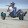 Morrie Williams Morrie Williams's profile photo