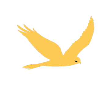 DELTA EVASION - PARAPENTE à ANNECY logo