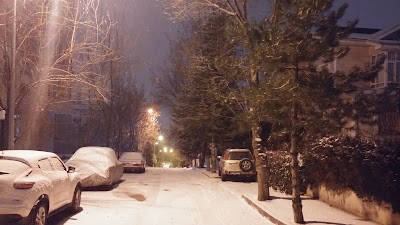 Photos of M. Ali G&uuml;ler Parkı