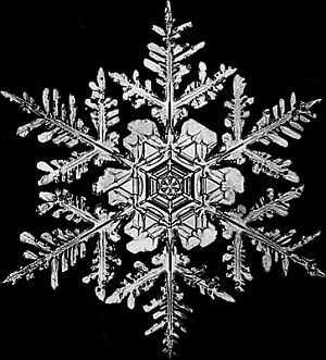  the largest snowflake 